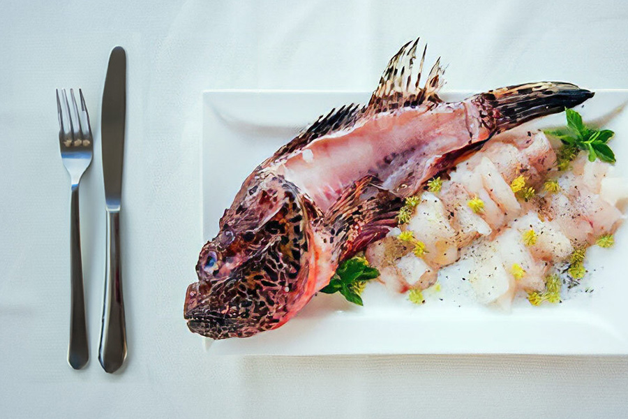 alba adriatica hotel sul mare